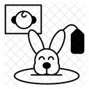  Icône