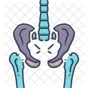 Pelvic One Bones Icon