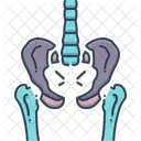 Pelvic  Icon