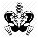 Pelvic Bones Ischium Sacrum Icon