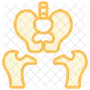 Pelvis Duotone Line Icon Icon