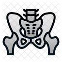 Pelvis Human Organ Icon