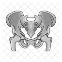 Skull Pelvis Bone Icon