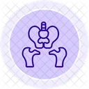 Pelvis Line Icon Icon