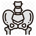 Pelvis  Icono