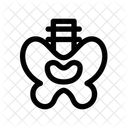 Pelvis Spine Skeletal Icon