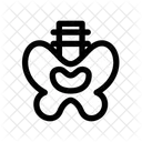 Pelvis Spine Skeletal Icon