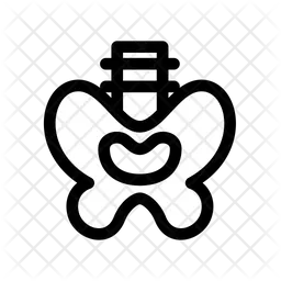 Pelvis  Icon