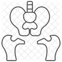 Pelvis Thinline Icon Icon