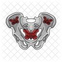 Pelvis Hueso Cadera Icono