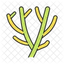 Pencil Cactus Icon