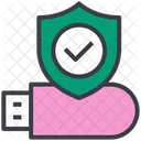 Cyber Security Pendrive Icon