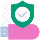Cyber Security Pendrive Icon