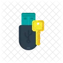 Cifrado Pendrive Icon