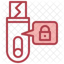 Seguridad pendrive  Icon