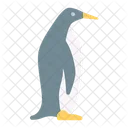 Penguin Animal Habitat Icon