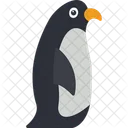 Penguin Animal Antarctic Icon
