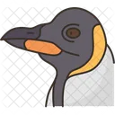 Penguin Beak Bird Icon