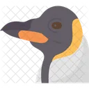 Penguin Beak Bird Icon