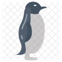 Penguin Aquatic Bird Flightless Bird アイコン