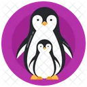 Penguin Daddy  Icon