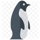 Penguin  Flightless Birds  Icon