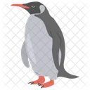 Penguin Seabird Bird Icon