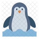 Penguin Animal Wildlife Icon