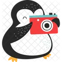 Penguins With Camera  Icon