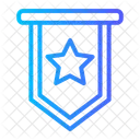 Pennant Emblem Star Icon
