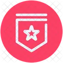 Pennant  Icon