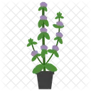 Pennyroyal Potted Plant  Icon
