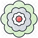 Peonia Flor Natureza Ícone