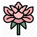 Peonia Flor Porcelana Icon