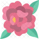 Peony Flowers Floral Icon