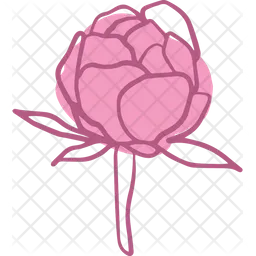 Peony  Icon