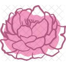 Peony  Icon