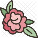 Peony Flower Floral Icon