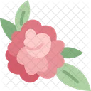 Peony Flower Floral Icon