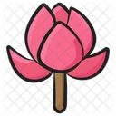 Peony Flower Blossom Flower Icon