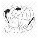 Peony flower  Icon
