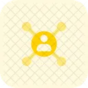 People Network People Hierarchy Network Icon