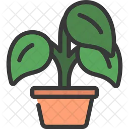 Peperomia Plant  Icon