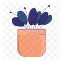 Peperomia Plant Baby Rubber Plant Indoor Garden Icon