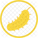 Pepinillo  Icon