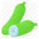 Pepino Nutricion Organico Icon