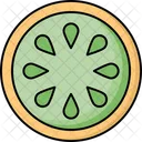 Icone Pepino Cucumis Sativus Icon