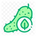 Food Carrot Cucumber Icon