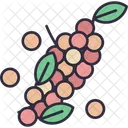 Pepper Spice Vegetable Icon