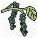 Pepper Food Organic Icon